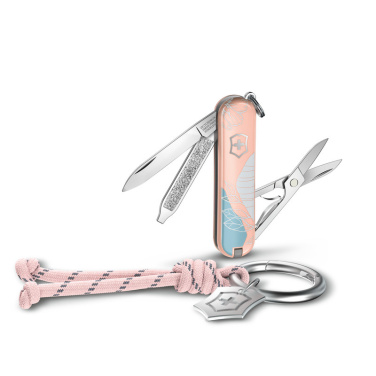 Logotrade reklaamkingitused pilt: Victorinox taskunuga Classic SD, 58 mm, Celidor, Paris Style