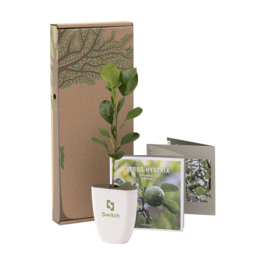 Logotrade ärikingitused pilt: Treemore Letterbox Trees Kaffir Lemon