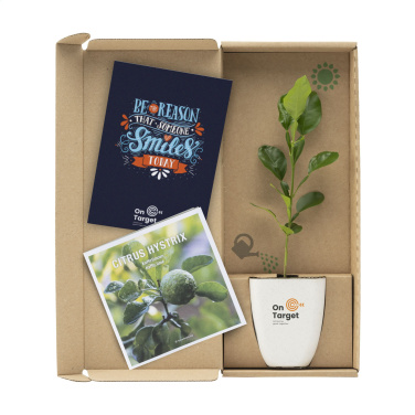 Logotrade firmakingitused pilt: Treemore Letterbox Trees Kaffir Lemon