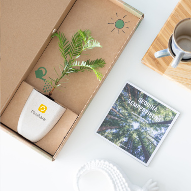 Logo trade ärikingid foto: Treemore'i kirjakastipuud hiiglaslik sekvoia
