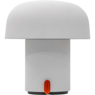 Logotrade reklaamkingituse foto: Kooduu Sensa Play JBL kaasaskantav kõlar ja lamp