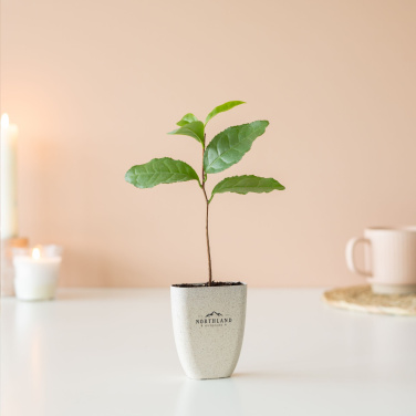 Logo trade liikelahja kuva: Treemore Letterbox Trees Teekasvi