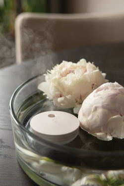 Logo trade mainostuotet tuotekuva: Breevia RCS rplasic ladattava kelluva ilmankostutin