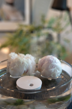 Logo trade liikelahja kuva: Breevia RCS rplasic ladattava kelluva ilmankostutin